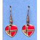 Norway Earrings - Hooks