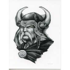 Poster - Viking with Cape