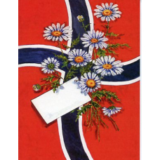 Norway flag with daisies birthday card