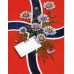 Norway flag with daisies birthday card