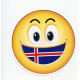 Magnet - Icelandic Smiley