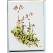 Magnet - Linnea Flowers