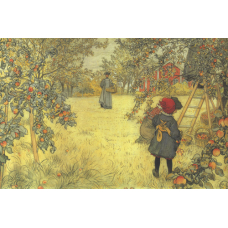 Poster - Apple Harvest