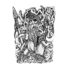 Poster - Viking Odin 
