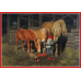 Poster - Tomte Feeding Horses