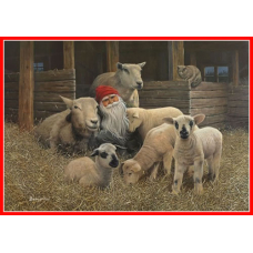 Poster - Tomte and Lambs