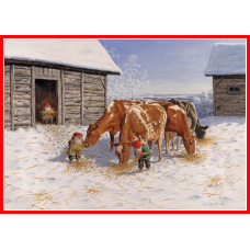 Poster - Tomtar Feeding Cows 